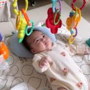 원일체육관 이미지