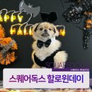 스퀘어독스 롯데남악점 이미지