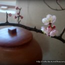 섬진다원 이미지