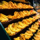 제주의료원 부속 요양병원 이미지