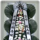 고령꽃집 이미지