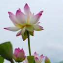 2020.07.06 : Luminar보정 이미지