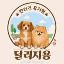 오정유치원 | 달리지용 애견유치원 이름보다 먼저 볼 핵심 정보 정리