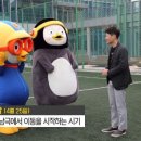 오늘은 세계펭귄의날🐧🐧 이미지