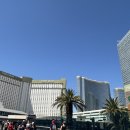 MGM헬스 | [신혼여행②] 미국 라스베가스 고든램지 "헬스키친" / 브런치 맛집 "몬 아미 가비" / KA-SHOW(카쇼...