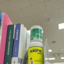 키다리 | 직장인 다이어트 일기 - 사무실 간식 Mr.키다리 AMPK 젤리 후기 (가격,식감포함)