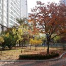 사동 부영6차 정문 앞
