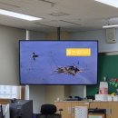 [꿈놀이터]동화베이킹(2회차) | 공원엔 누가 살까?" — 감동적인 맞춤형 자료로 몰입했던 초1 생태환경교육 2회차 '생물다양성' 수업 후기