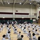 경희대튼튼합기도 이미지