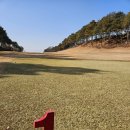 에이스골프클럽 이미지