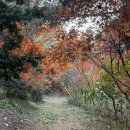 봉담농장 | 화성 봉담 삼봉산 등산 후기