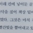 골드스타 이미지