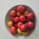 영해스크린 이미지