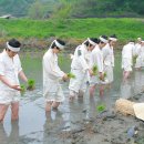 초록지기마을 이미지