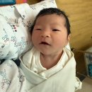 예수 | 예수병원 분만, 출산후기 신생아 면회 모유수유 분만비용