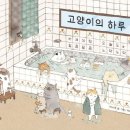 고양이 하루 이미지