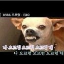 으르렁대