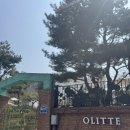 야탑 올리떼 - 분당 분위기 좋은 대형카페 내돈내산후기