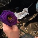 THE SOBS 콘서트 | [Nothingw.outU]171224/크리스마스이브/워너원부산팬콘/막콘/강다니엘편지/강다니엘썰매/황민현/옹성우...