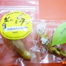 까비애견 이미지