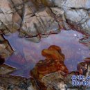 삽시도우리펜션 이미지