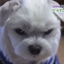 없음 네이버블로그
