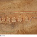 탄요유적공원 이미지