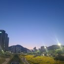 이가네생면멸치국수