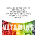 마이바이타민숍