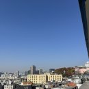 남산작은도서관 | 남산 카페 콤포타블 후기, 주차 편하고 애견동반 가능 메뉴 정리