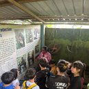 동양어학원 | [아이와 한달살기] 조호바루 어학원 및 유치원/프리스쿨