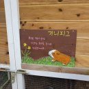 소양팜 네이버블로그
