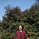 조안초등학교 이미지