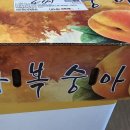 삼태산 농장 이미지