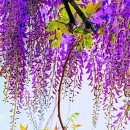 진량선화공인중개사사무소 이미지