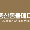 중산동물메디컬센터 이미지
