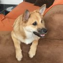 석사마트 이미지