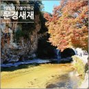 새재유치원 | 가을에 가볼만한 곳 다양한 매력을 지닌 문경새재 다녀온 후기