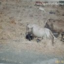 (주)에어팍스 이미지