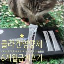 내고양이 윤기있는 피모 비밀 닥터콜, 댕댕이 친구 선물까지 했어요.