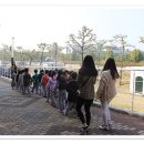 다우림유치원 이미지