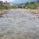 시골본가 이미지