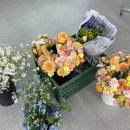 창원시마산보건소진동면보건지소 | &lt;마산보건소:꼬물꼬물태교교실&gt;꽃바구니 원데이클래스💐