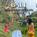 용자농장 | 발리 우붓 알라스하룸 입장료 발리스윙 액티비티 산책코스