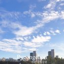 평촌초등학교 옆 이미지