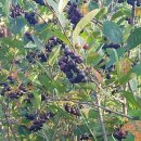 굿마루농장 이미지