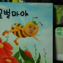 상상나무