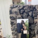 삼삼구옥 이미지