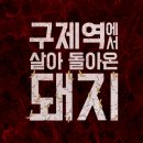 허범욱필름