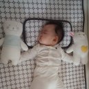 홍단 PC 네이버블로그